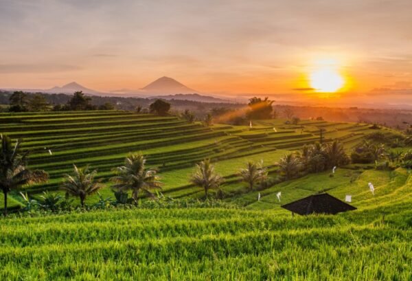 Bali - Gili Explorer - lastminute vakantie aanbiedingen