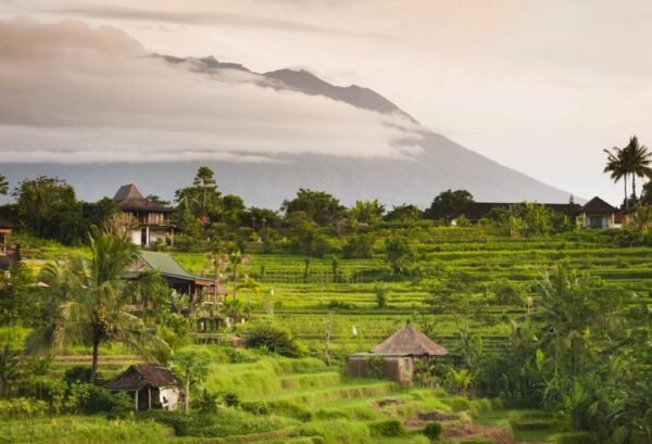 Bali Roulette - lastminute vakantie aanbiedingen