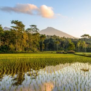 Bali en Lombok - lastminute vakantie aanbiedingen