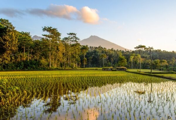 Bali en Lombok - lastminute vakantie aanbiedingen