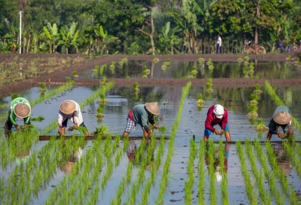 Best Deal Java en Bali - lastminute vakantie aanbiedingen