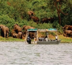 Boottocht op Lake Mburo - lastminute vakantie aanbiedingen