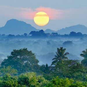 De Jungle van Sri Lanka - lastminute vakantie aanbiedingen