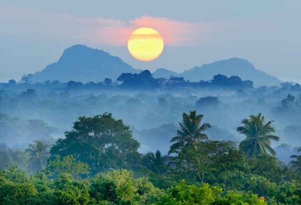 De Jungle van Sri Lanka - lastminute vakantie aanbiedingen