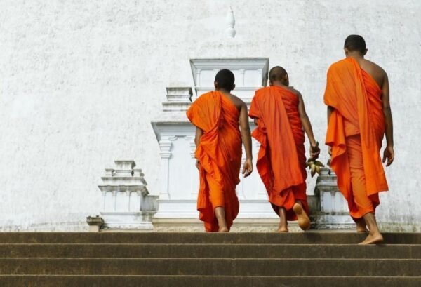 De Kracht van Traditie - lastminute vakantie aanbiedingen