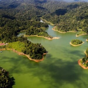 De natuur van Belum Rainforest - lastminute vakantie aanbiedingen