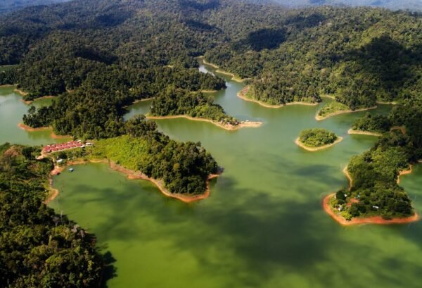 De natuur van Belum Rainforest - lastminute vakantie aanbiedingen