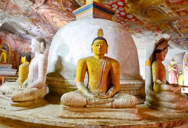 Discover Sri Lanka - lastminute vakantie aanbiedingen