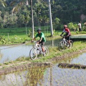 Fietsen vanaf de Batur - lastminute vakantie aanbiedingen