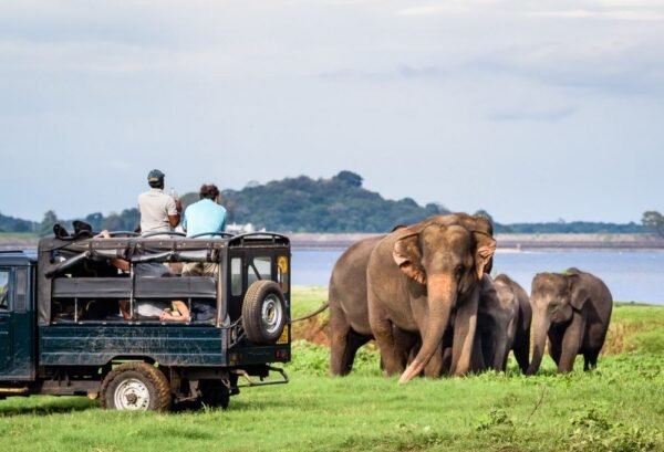 Grand Tour Sri Lanka - lastminute vakantie aanbiedingen