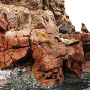 Grand Tour Zuidelijk Peru - lastminute vakantie aanbiedingen