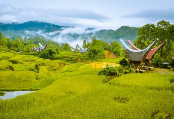 Highlights Sulawesi en Bali - lastminute vakantie aanbiedingen
