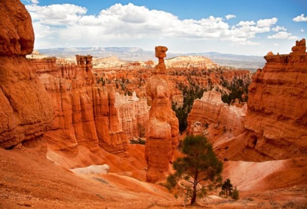 Highlights of the Wild West - lastminute vakantie aanbiedingen