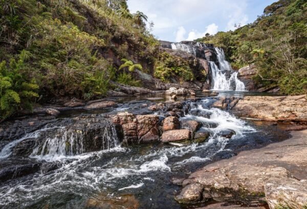 Horton Plains National park - lastminute vakantie aanbiedingen