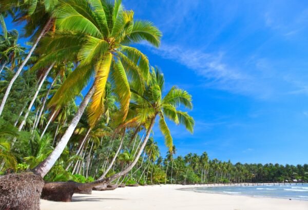 Islandhopping Hawaii Oahu & Maui Deluxe - lastminute vakantie aanbiedingen