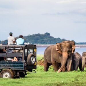 Jeepsafari Yala National Park - lastminute vakantie aanbiedingen