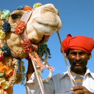 Kamelenfestival Pushkar - lastminute vakantie aanbiedingen