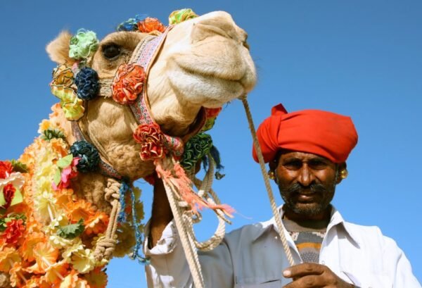 Kamelenfestival Pushkar - lastminute vakantie aanbiedingen