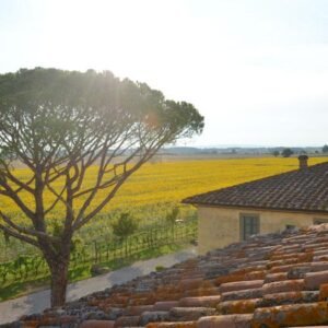 Le Terre dei Cavalieri Appartementen - lastminute vakantie aanbiedingen