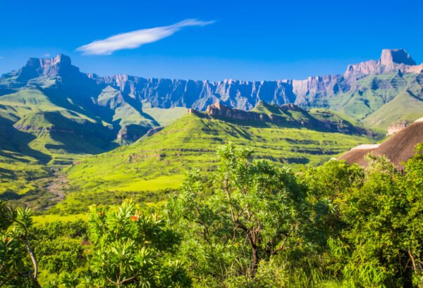 Leeuwen en Zuid-Afrikaanse Magie - lastminute vakantie aanbiedingen