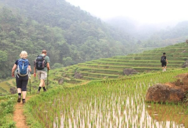 Ongerept Noord-Vietnam - lastminute vakantie aanbiedingen