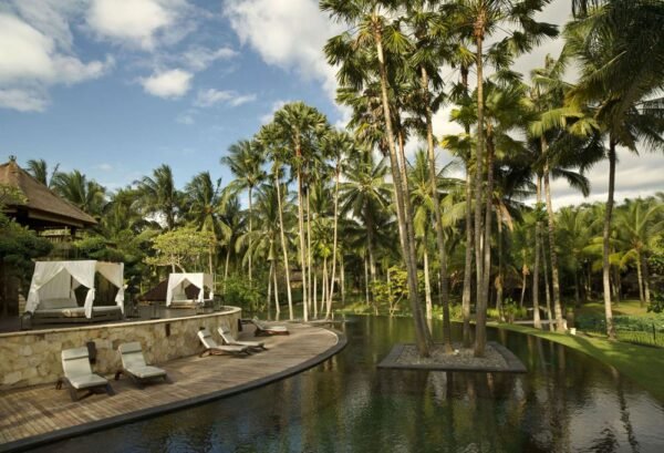 Padi's & Prawns - lastminute vakantie aanbiedingen