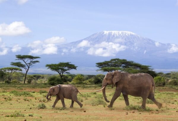 Safari Discover Kenia - lastminute vakantie aanbiedingen