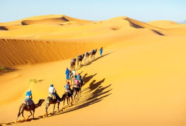 Woestijnsafari in Jaisalmer - lastminute vakantie aanbiedingen