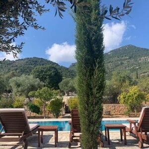 Pandora Appartementen op Ithaki