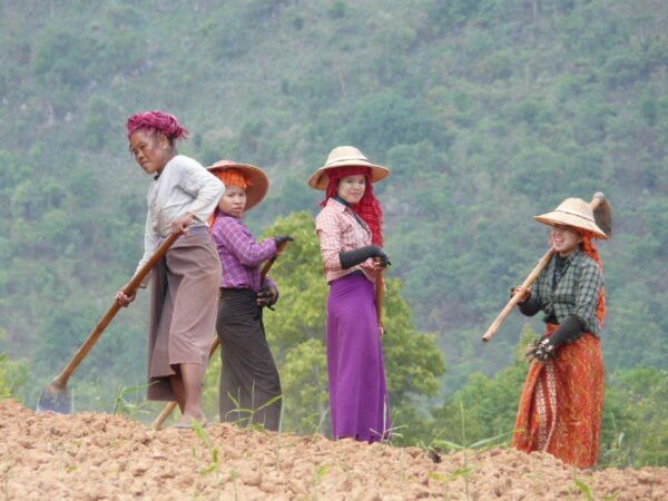 Actief & Cultureel Myanmar - lastminute vakantie aanbiedingen