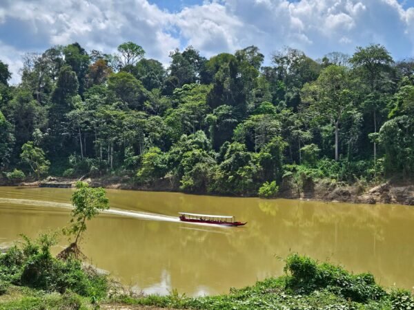 Avontuur in de jungle Taman Negara - lastminute vakantie aanbiedingen