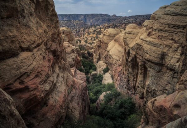 Avontuurlijk Jordanië Deluxe - lastminute vakantie aanbiedingen