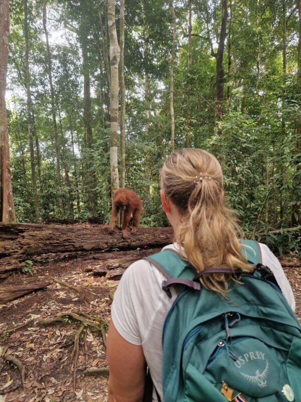 Avontuurlijk en actief Sumatra - lastminute vakantie aanbiedingen