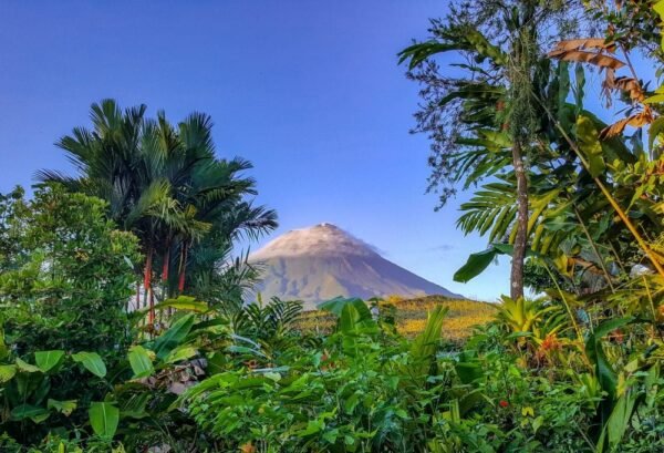 Best Deal Costa Rica Nevelwouden en Vulkanen - lastminute vakantie aanbiedingen