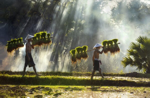 Boeiend Vietnam en Laos - lastminute vakantie aanbiedingen