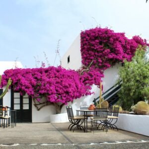 Caserío de Mozaga - lastminute vakantie aanbiedingen