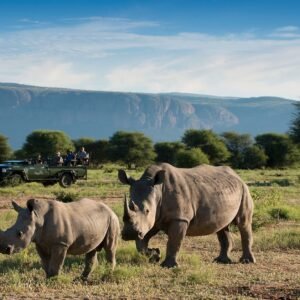 Complete safarireis Zuid-Afrika - lastminute vakantie aanbiedingen