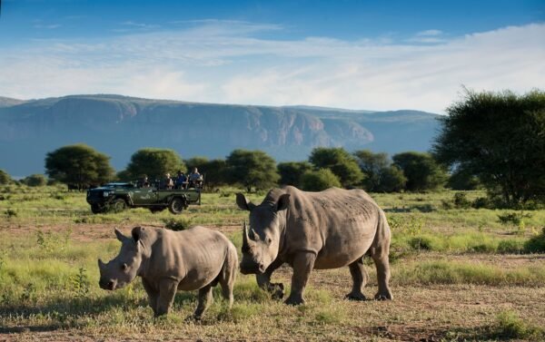 Complete safarireis Zuid-Afrika - lastminute vakantie aanbiedingen