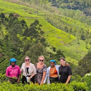 Culturele schatten van Ceylon - lastminute vakantie aanbiedingen