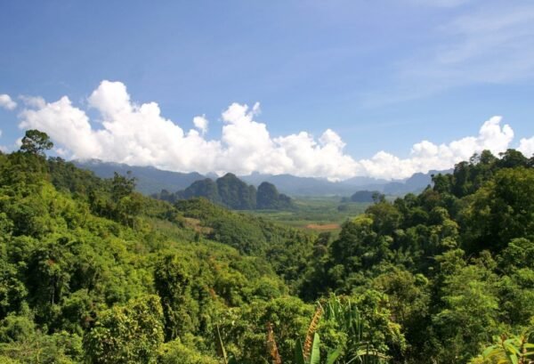 Cultuur en Jungle van Thailand Deluxe - lastminute vakantie aanbiedingen