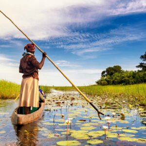 De ongetemde natuur van Namibië en Botswana - lastminute vakantie aanbiedingen