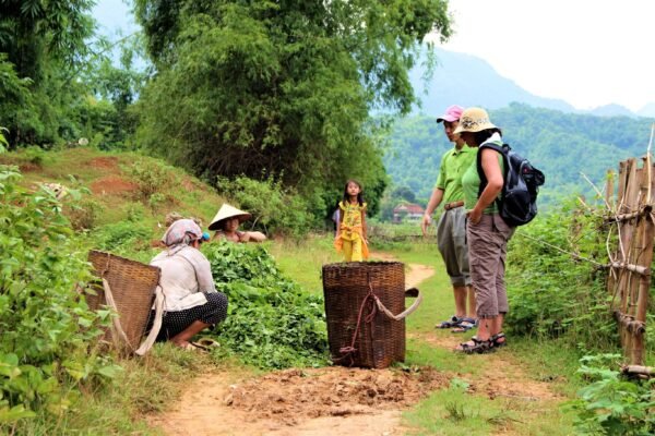 De vallei van Mai Chau - lastminute vakantie aanbiedingen