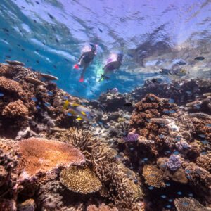 Duiken en snorkelen Great Barrier Reef - lastminute vakantie aanbiedingen