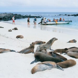 Eilandhoppen Galapagos - lastminute vakantie aanbiedingen