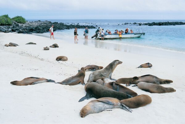 Eilandhoppen Galapagos - lastminute vakantie aanbiedingen