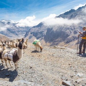 El Choro trekking - lastminute vakantie aanbiedingen