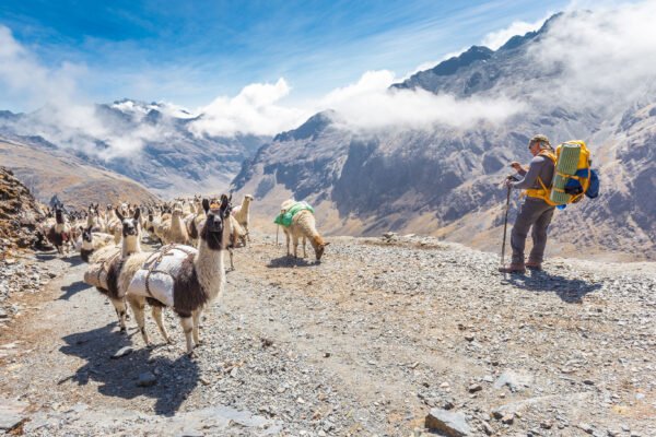 El Choro trekking - lastminute vakantie aanbiedingen