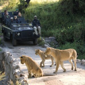 Familiereis Zuid-Afrika - lastminute vakantie aanbiedingen