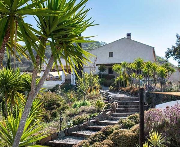 Finca las Nuevas - lastminute vakantie aanbiedingen