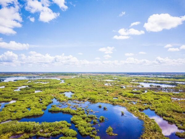 Florida Compleet - lastminute vakantie aanbiedingen